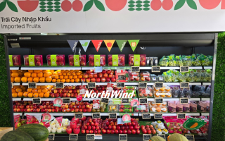 Bàn Giao Dự Án Siêu Thị Trái Cây Tony Fruit Sala