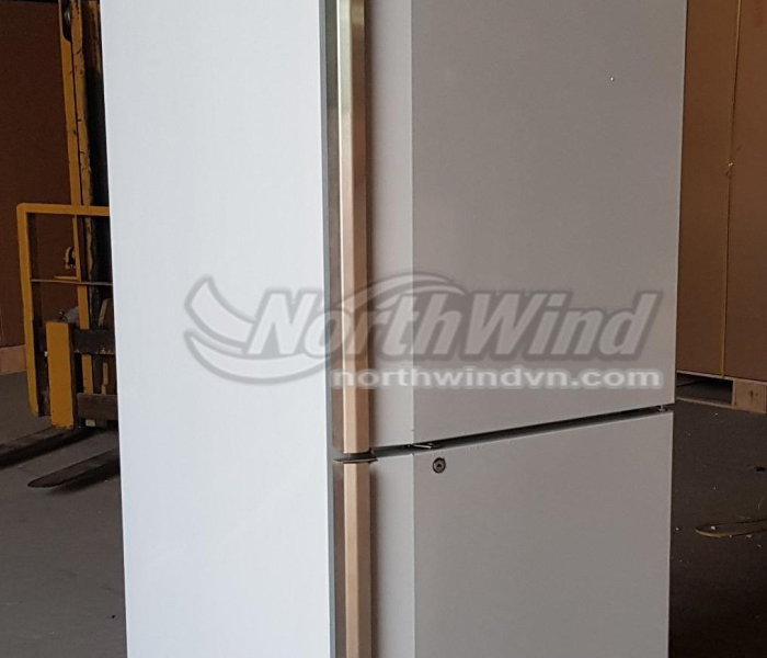 Tủ đông 2 cửa công nghiệp 
