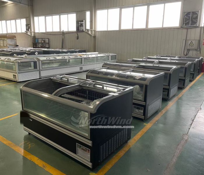 Tủ đông nằm siêu thị 