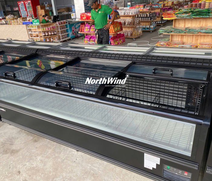 Tủ đông nằm trưng bày kính Northwind-210