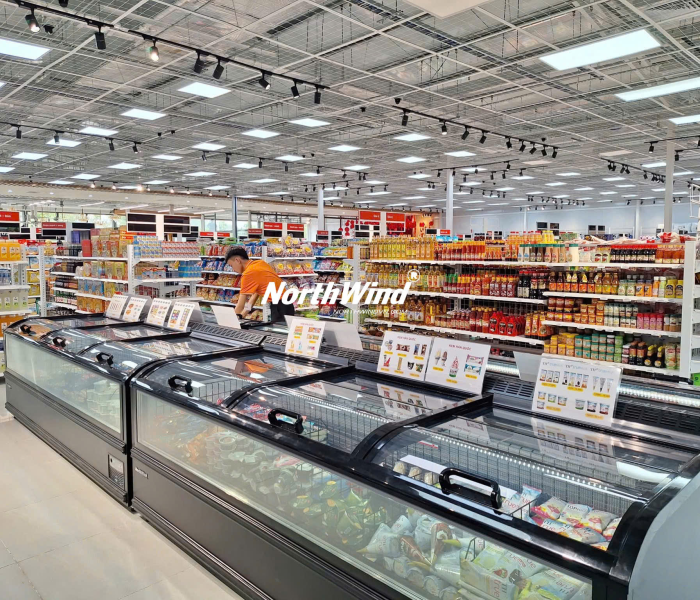 Tủ đông nằm trưng bày kính Northwind-210