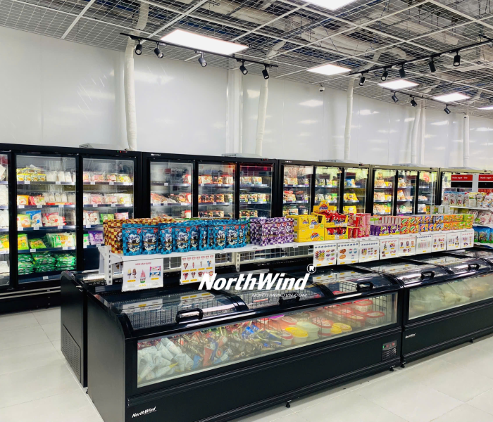 Tủ đông nằm trưng bày kính Northwind-210