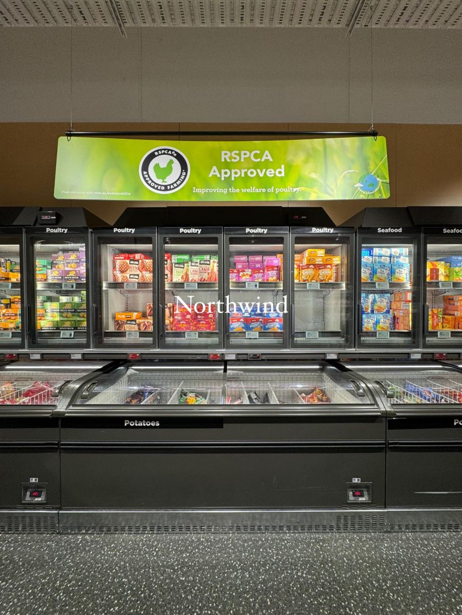 tủ đông kết hợp