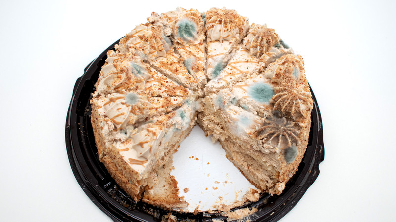  bảo trì tủ bánh