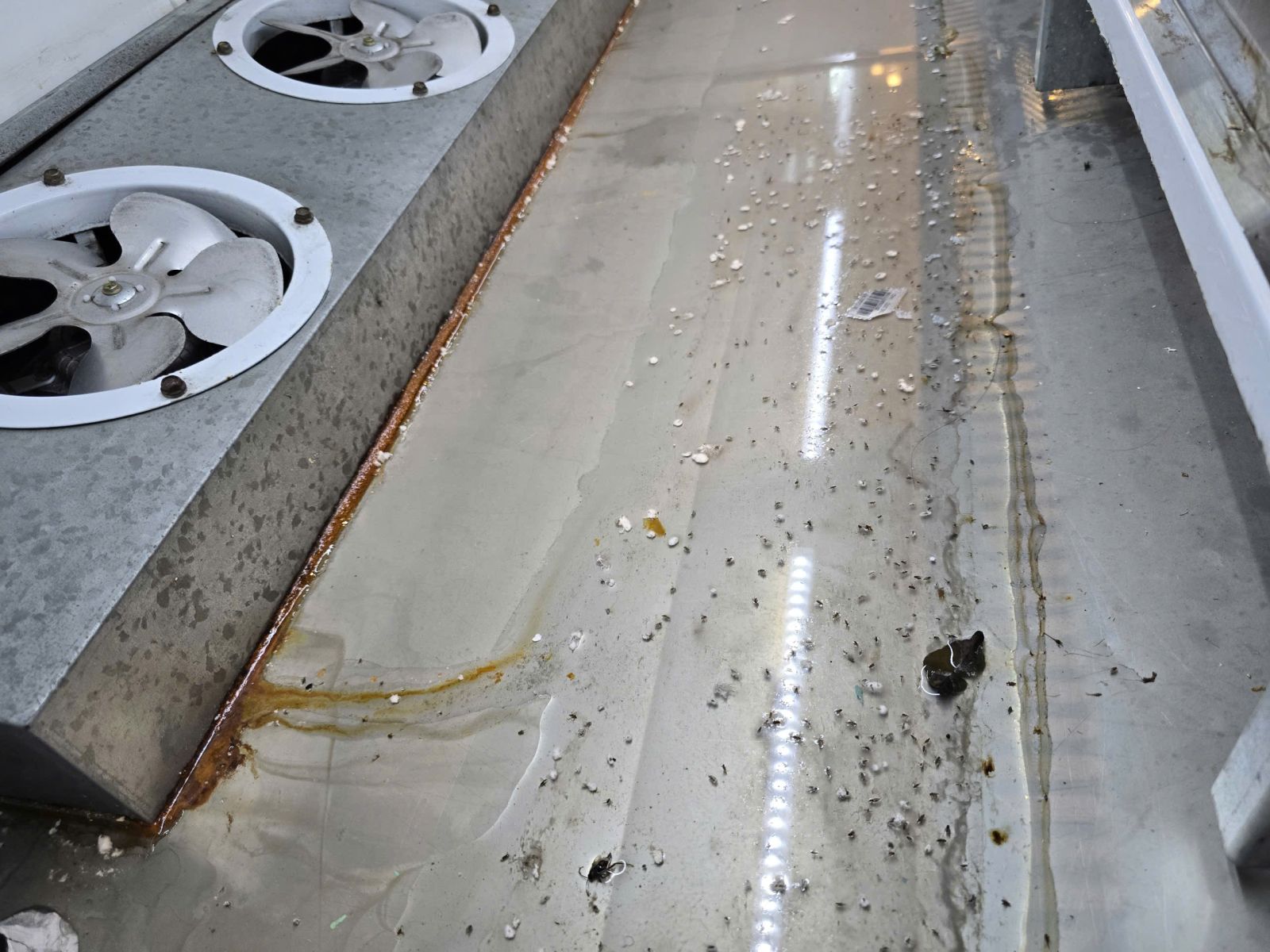 Tiếng ồn lớn trong tủ mát